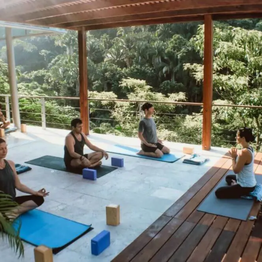Wellness Retreats & Workshops